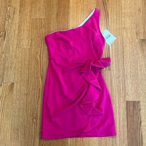 NWT Hello Molly Hot Pink Dress size 6
